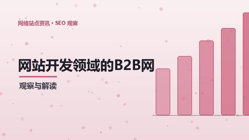 网站开发领域