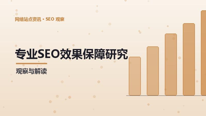 专业SEO效果保障研究：深度洞察与建议
